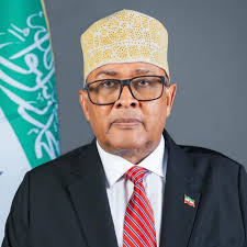Madaxweyne Dr. Cabdiraxmaan Cirro ayaa 24 saacadood ee soo socda lagu wadaa  inuu soo dhiso xukuumaddiisa . Golaha wasiirada ayaa loo badinayaa inay ka  soo muuqan doonaan wajiyo badan oo ku cusub