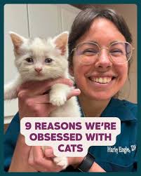 Quail Hollow Animal Hospital