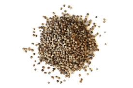 Image result for Vitex strickeri