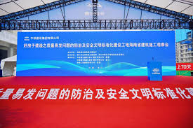 标准化体系解锁“好房子”品质密码，海南建筑施工观摩会展示行业新标杆- 中国日报网