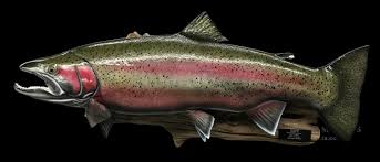 In dunsmuir, you may keep 5 fish. Faux Taxidermy Repro Beautiful Rainbow Trout Taxidermy Mount Log Cabin Fishin Lodge Decor 1 Taxidermy Curiosities