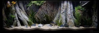 3d Backgrounds For Aquariums Available In All Measurements Our Amazonian Design Aquarium Backgrounds Fish Tank Aquascape Aquarium