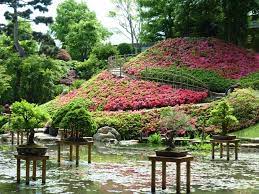 jardin albert kahn le jardin japonais boulogne billancourt 92 jardins du monde jardin japonais jardins
