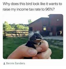 Why Does This Bird Look Like It Wants To Raise My Income Tax Rate To 96 Bernie Sanders Bernie Sanders Meme On Me Me