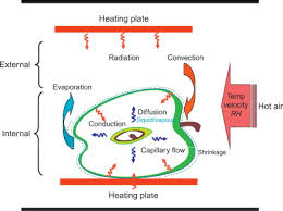نتیجه جستجوی لغت [drying] در گوگل