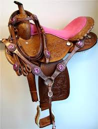 Visiting my horses in the snow and talking about winter blankets. 16 Dark Oil Hot Pink Bling Western Show Horse Barrel Saddle Showman 3pc Tack Set Horse Saddles Barrel Saddle Horse Accessories