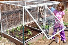Square Foot Garden Hinged Door Cage Pvc And Zip Ties Diy And Cheap Exactly What I Was Looking For Erhohte Beete Hinterhof Garten Diy Garten