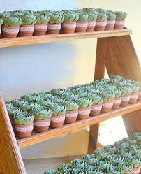 Miss Sunny Wedding Souvenirs Philippines Order Online Succulent Gardening Succulents Planting Succulents