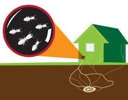 Affordable pest control hours and affordable pest control locations along with phone number and map with driving directions. Best Termite Control In Orange County Ca Free Termite Inspection Non Toxic Treatment With 2 Yr Warranty
