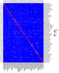 Image result for Antrocaryon nannanii