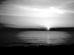 5 out of 5 stars. Black And White Beach By Ekothecrimson On Deviantart