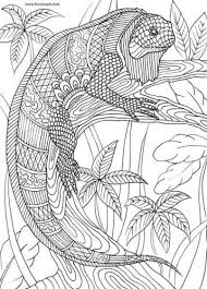 Animals And Birds Iguana Animal Coloring Pages Animal Line Drawings Animal Coloring Books