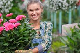 Maybe you would like to learn more about one of these? 10 Best Flower Delivery Services In Charlotte Florgeous