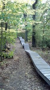 Hartman Creek State Park Loop Mountain Bike Trail, King, Wisconsin