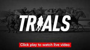 News source: Racing.com