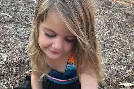 Fundraiser for Valery Ryan by Mary Wolfla : Memorial for Violet Ryan