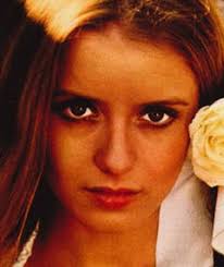 Tienda porno, pleasure shop on 7th ave., il porno shop della 7ª strada, new york 7ª strada, pleasure shop on 7th avenue. La Settimana Al Mare Cast Crew On Mubi