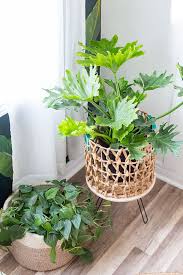 After finding this amazing n sign, she simply added a shelf a top to give her plant babies some elevation and some room to grow. 35 Diy Plant Stands That Let You Explore Your Creativity
