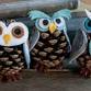 Young Adult - Drop-In: Pinecone Owls event image