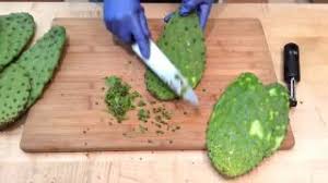 How do you grill cactus? How To Prepare Nopales Cactus Pads Sunset Youtube