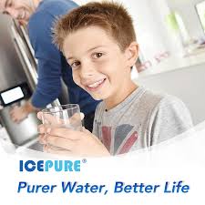 ICEPURE Refrigerator Filter Fits LG LT700P Kenmore Elite 46 9690