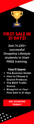 Has anyone been a member of dropship lifestyle before? Dropship Lifestyle Review 2021 Updated Read First Dreamgrow