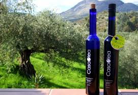 The Olive Harvest In Spain Casa Olea