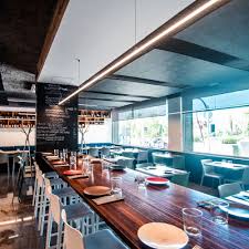 Image result for Vangueria domatiosa