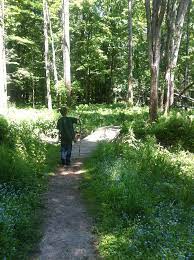 Dailin At Indianfields Twp Park Caro Mi Scenery Caro Hometown