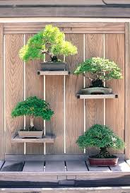 Pin Von Chumani On Tree Auf Bonsai Mit Bildern Pflanzengestaltung Bonsai Gartendesign Ideen