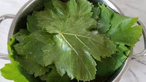 دستور پخت کنسرو برگ مو | سرآشپز پاپیون