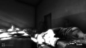 You will be able to live their stories, their fears, their dreams to never forget. The Town Of Light Review A Grim And Unblinking Psychological Horror Ars Technica