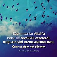 eger insanlar allah a hakki ile tevekkul etselerdi kuslar gibi riziklandirilirdi onlar ac gider tok donerler insanlar kuslar rizik tevekkul ac tok
