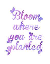 Pin On Purple Quotes
