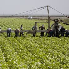 Image result for Lettuce Green 1977 Hussmann