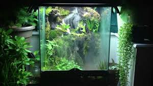 Watch And Learn How To Build A Paludarium In 12 Easy Steps Terrarium Exo Terra Vivarium Vivarium