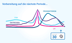 Wieso habe ich meine tage noch nicht? Menstruationszyklen Perioden Und Eisprung Verstehen Clearblue
