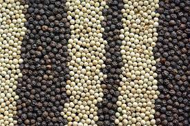 Find your favorite cayenne pepper substitute and see how it plays out in your dishes. Where Do Peppercorns Come From White Pepper Vs Black Pepper Blogpost Spice Trekkers