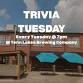 Trivia Tuesday @ Tenn Lakes Brewing Company event image