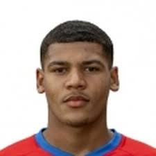 Profile Gökdeniz Celik, : Info, news, matches and statistics