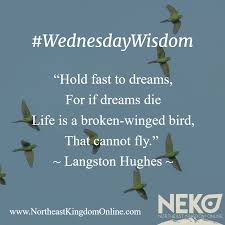 Hold Fast To Dreams For If Dreams Die Life Is A Broken Winged Bird That Cannot Fly Langston Hughes Wednesdaywisdom Quote Life Quotes Quotes Wisdom