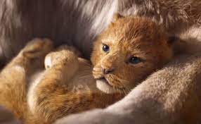 When you purchase through links on our site, we may earn an affiliate commission. The Lion King Hd Wallpapers 7wallpapers Net