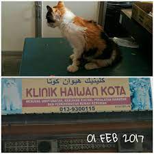 Jabatan perkhidmatan haiwan dan perusahaan ternak 1960 km. Kembara Minda 7 Bawa Meow Ke Klinik Haiwan Kota