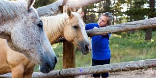 Become the cowboy/ cowgirl for a week. Dude Ranch Vacations Colorado Dude Guest Ranch Association Horses Sometimes Make The Best Doctors Colorado Ranch