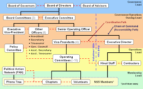 Correct Society Organizational Chart 2019
