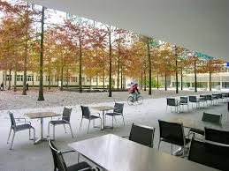The major requirements listed below are the most recent. Berkeley Firm Honored For Landscape Design Berkeley Ca Patch
