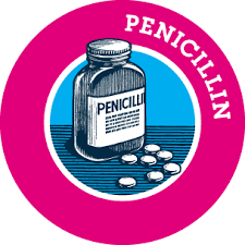 Image result for Penicillin