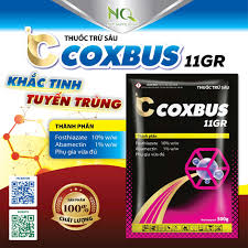 Coxbus 11GR