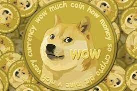 You can trade for dogecoin using your local fiat currency or cryptocurrencies like bitcoin in india. How To Buy Dogecoin In India The Ultimate Guide Techstory