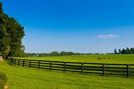 Fixed knot wire galvanized steel metallic. Fencing Is Available At Cherokee Feed Seed In Georgia